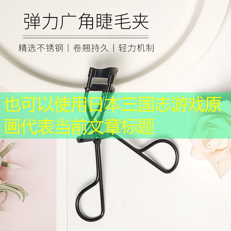 日本三国志游戏原画